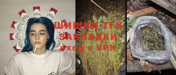 стаф Абаза