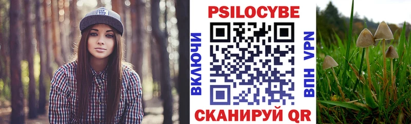магазин продажи наркотиков  мега как зайти  маркетплейс наркотические препараты  Чухлома  Галлюциногенные грибы мицелий 